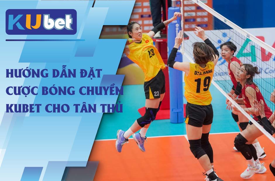 Hướng dẫn đặt cược bóng chuyền kubet cho tân thủ